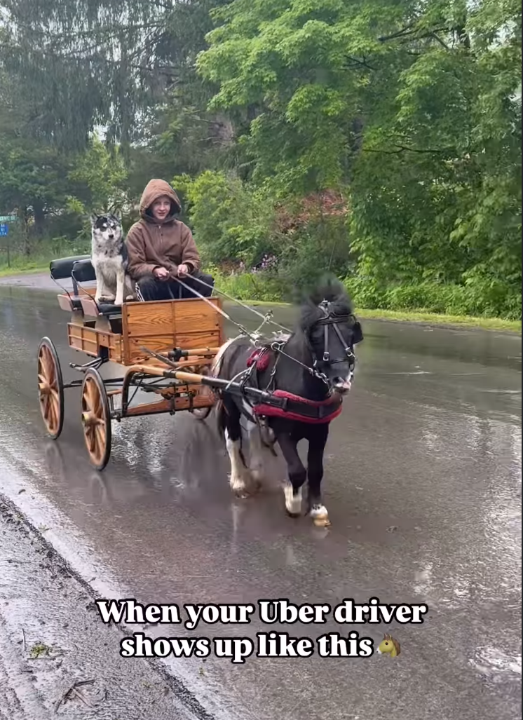 instagram video thumbnail